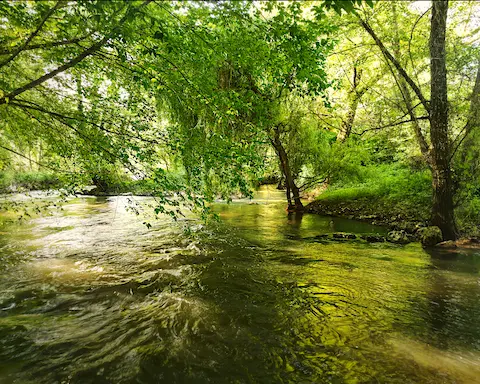 prise de vue du débarcadère du moulin de poltrot sous les arbres