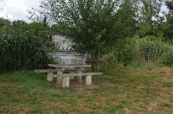 zone de pique-nique ombragée avec un homme et une femme en train de manger